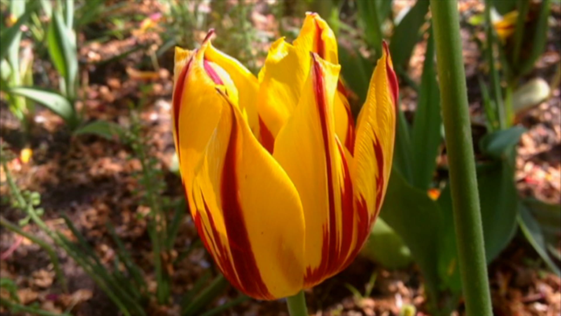 상세 < 소장품 검색 < 소장품 < 국립현대미술관