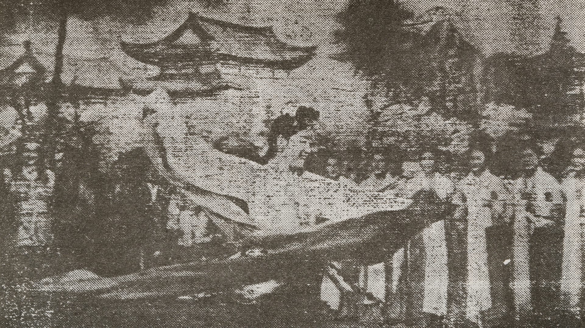 반도의 무희