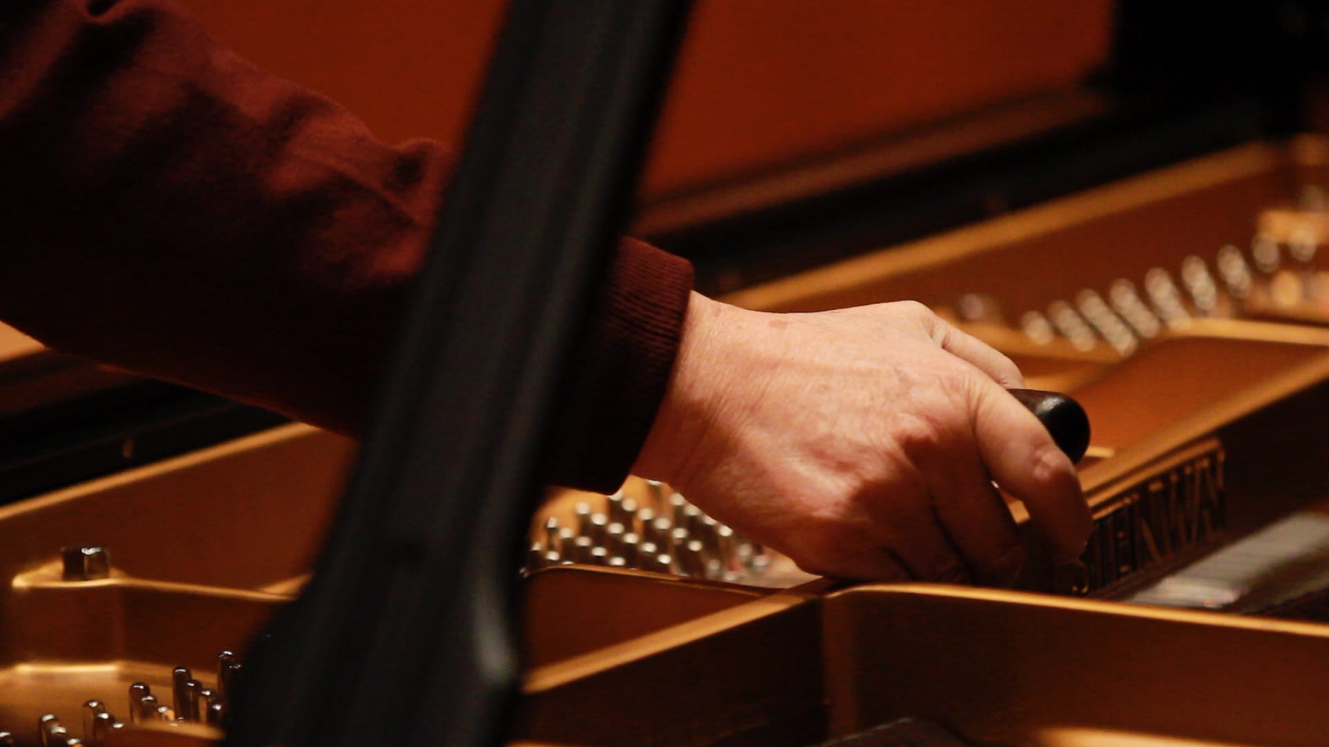 마지막 기쁨, 어느 미싱사의 일일, 열 두개의 방, 보물섬