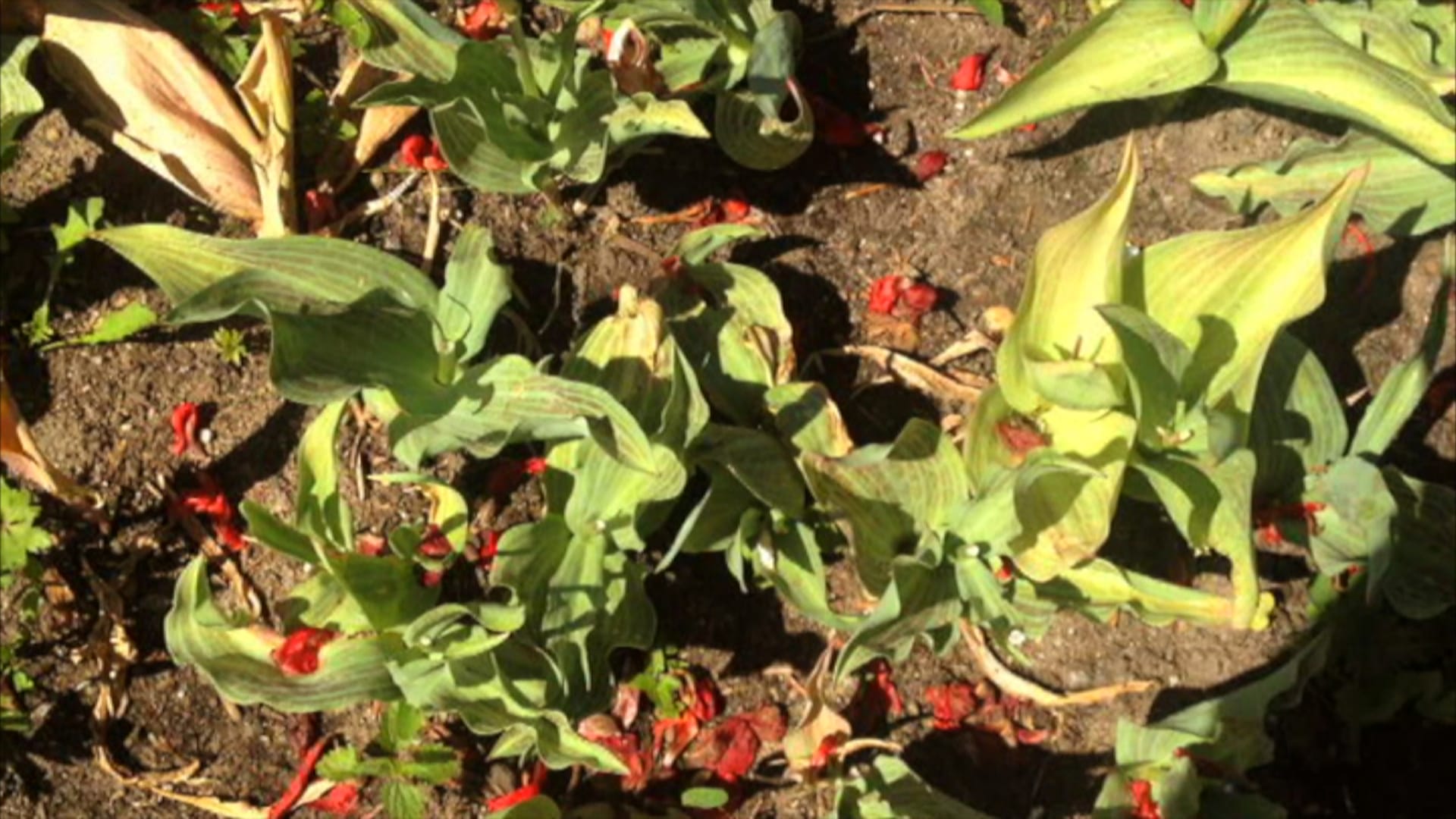 상세 < 소장품 검색 < 소장품 < 국립현대미술관