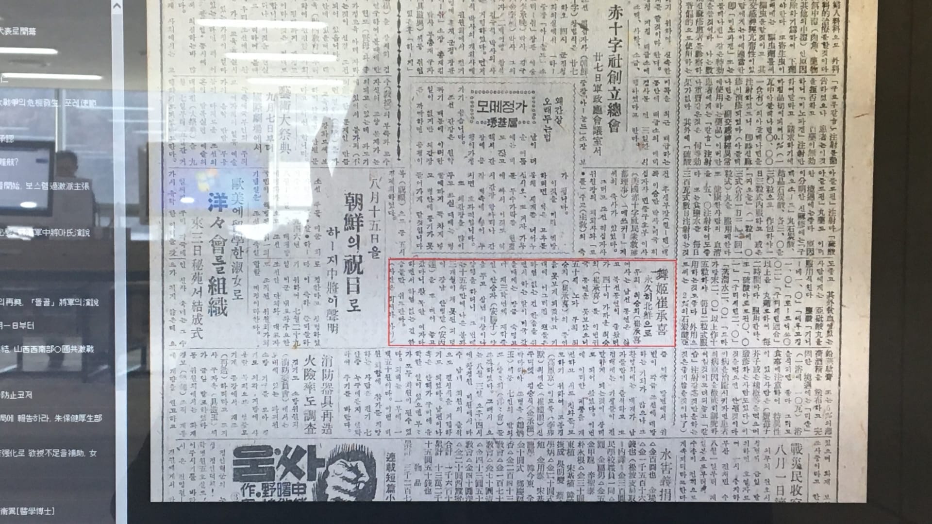 반도의 무희
