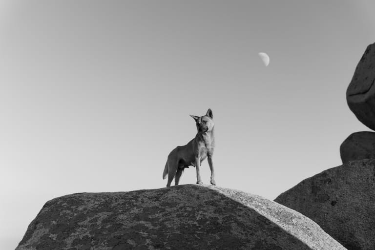 북한산, 검은입