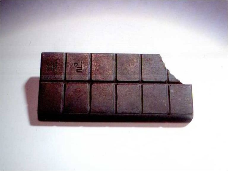 우리의 소중한 내일