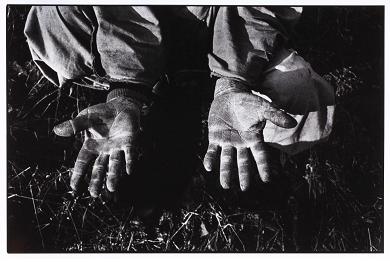 원성군(현재 원주시)