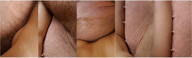 돼지, 내 존재의 이유_콤포지션 시리즈 5,4,3,2,1