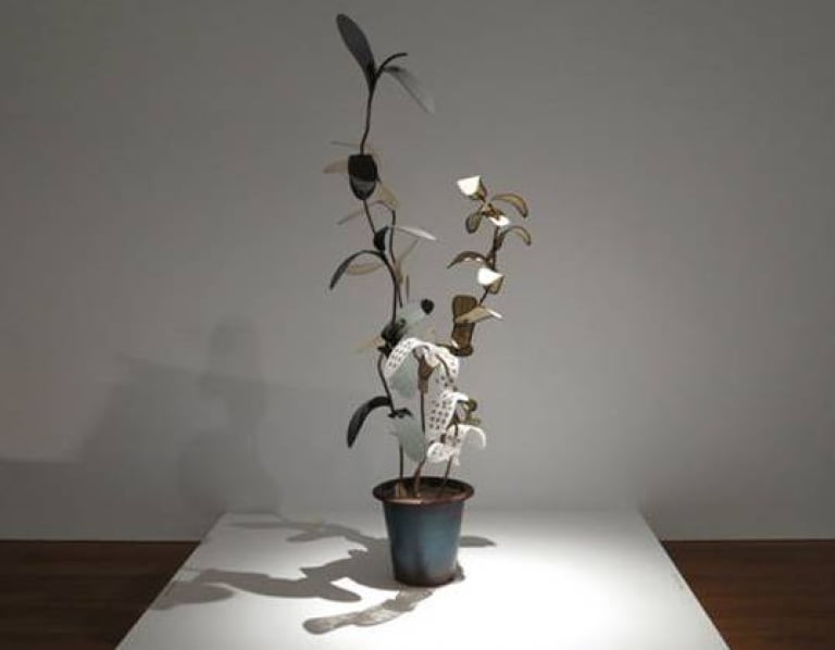 일보 일보 화초