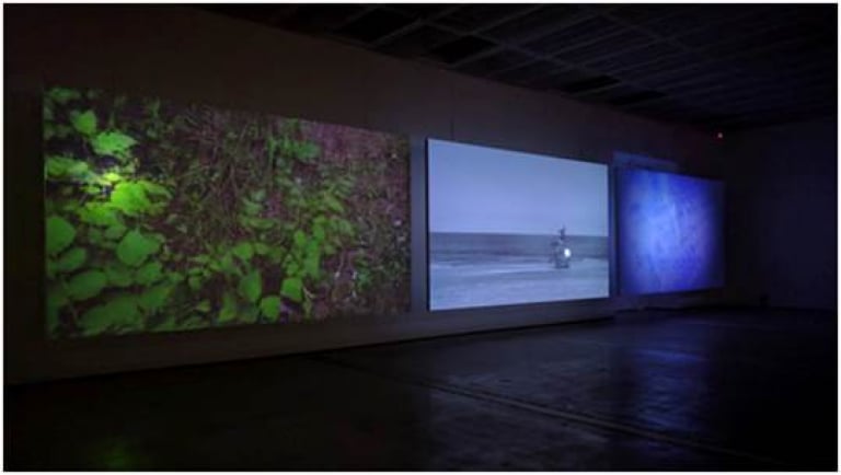 다시 살아나거라 아가야