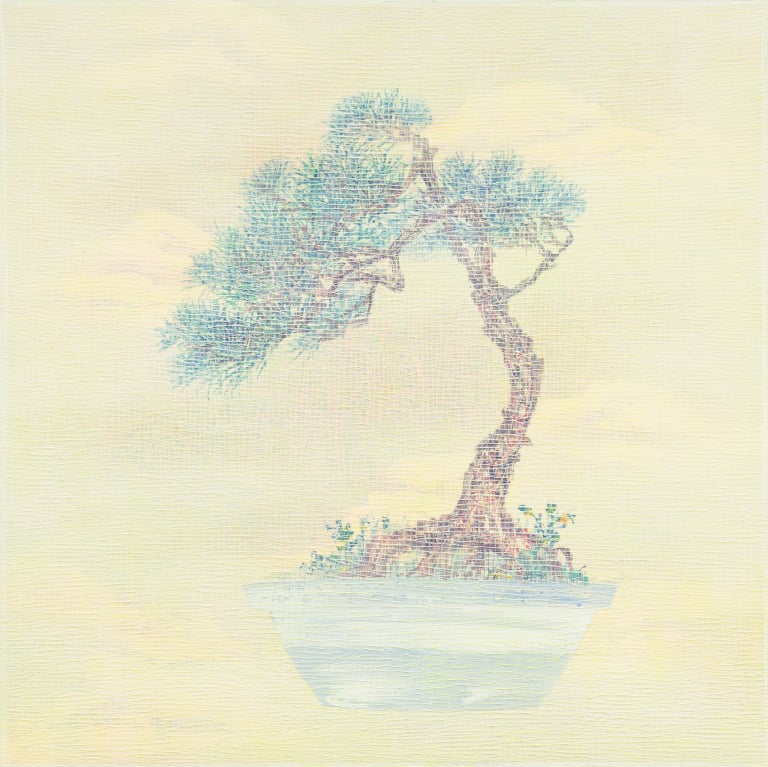 자연의 기억 16-10