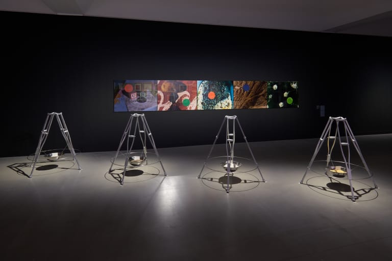 동그라미 날뛰다