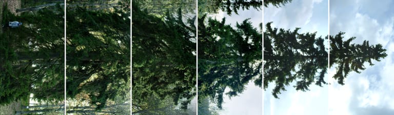 수평-바카수오라