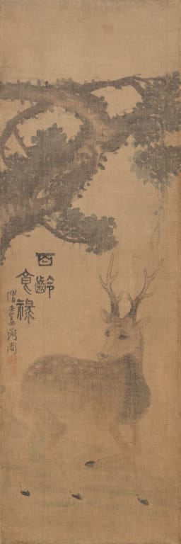 사슴