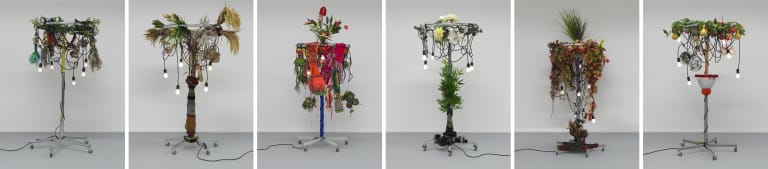 여성형원주민-1.구변(口辯), 2.시골신기(神氣), 3.철지난 포화(飽和), 4.음력, 5.숙성, 6.상기된 결실