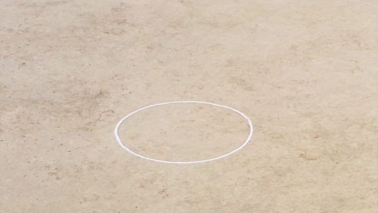 물 마늘 양파 우유 과일