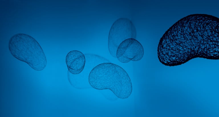 인간 + 자연 + 빛