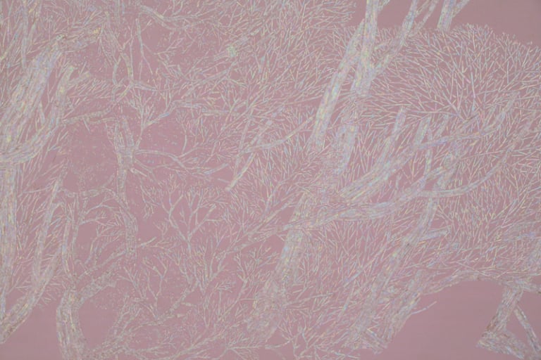 풍경, 불그스름하다