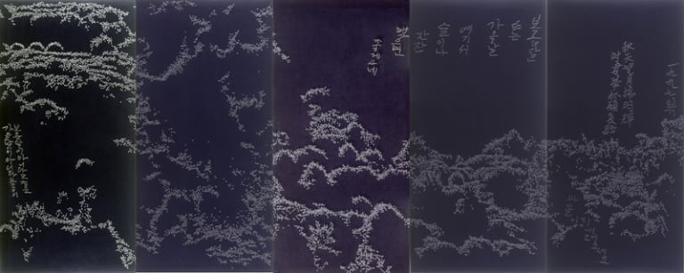 보름달 뜨는 가을날