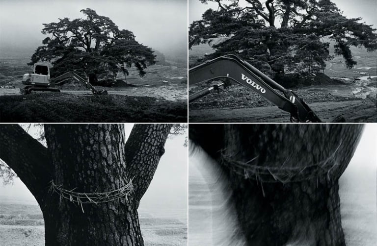 합천 마현 시리즈