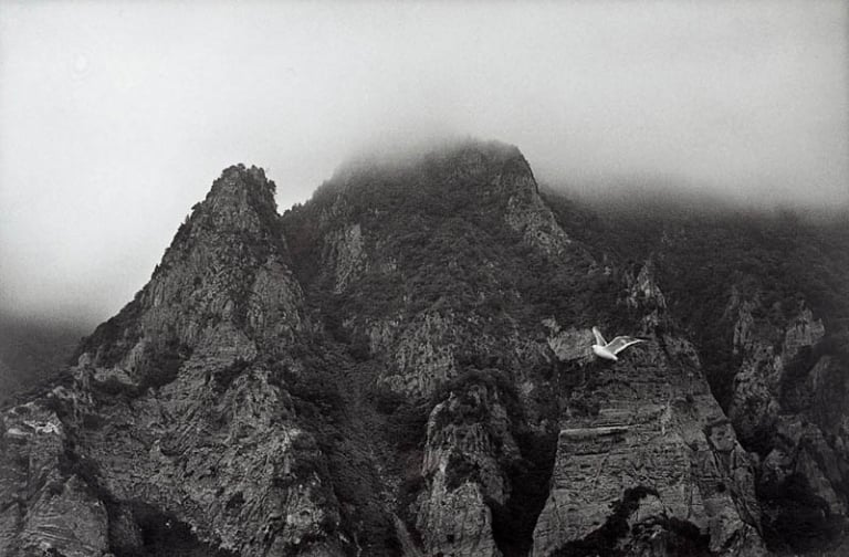 떠도는 섬(울릉도)