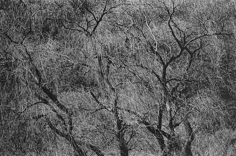 대지의 초상 #076