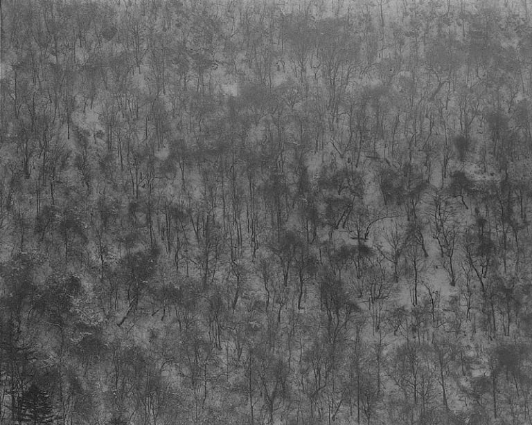 대지의 초상 #063