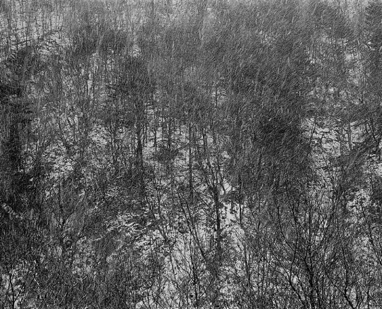 대지의 초상 #064