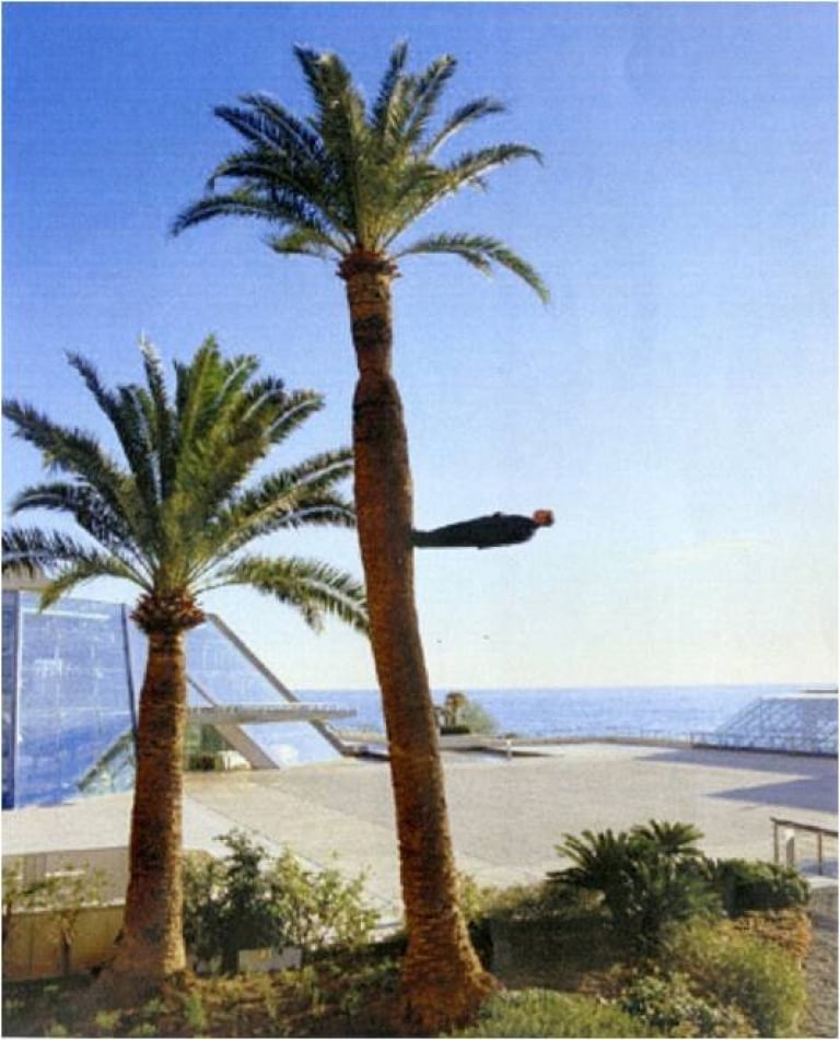 비합리적인 걸음