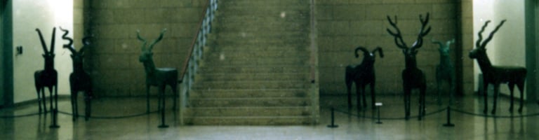 뿔있는 우제류를 위하여