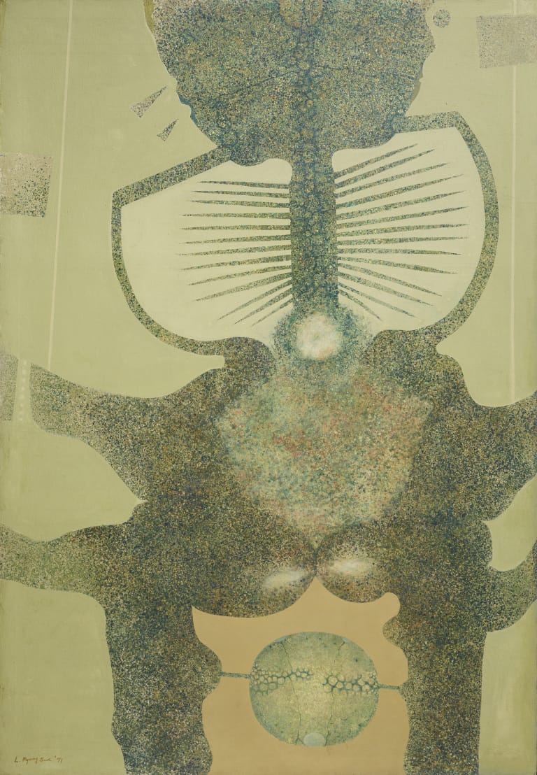 X-Ray 선상의 구조 71-1