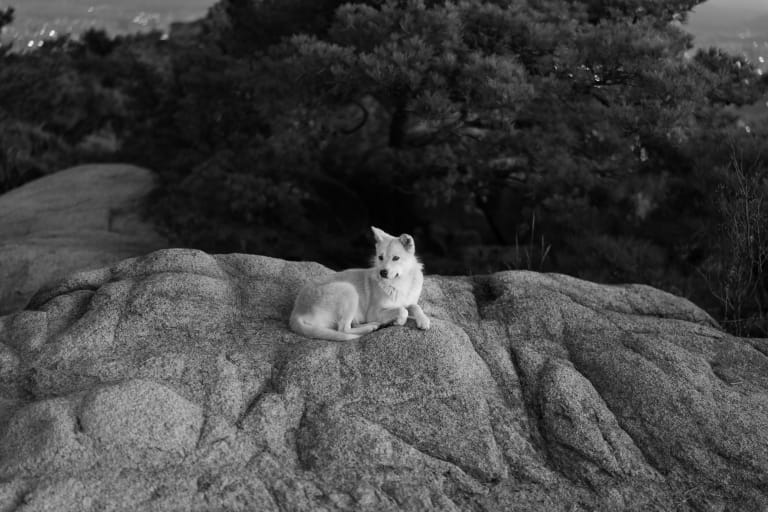 북한산, 잿빛눈