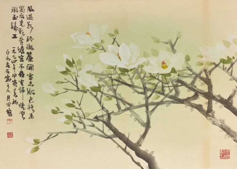 백목련(白木蓮)