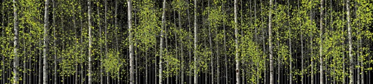 보이지 않는 눈 6