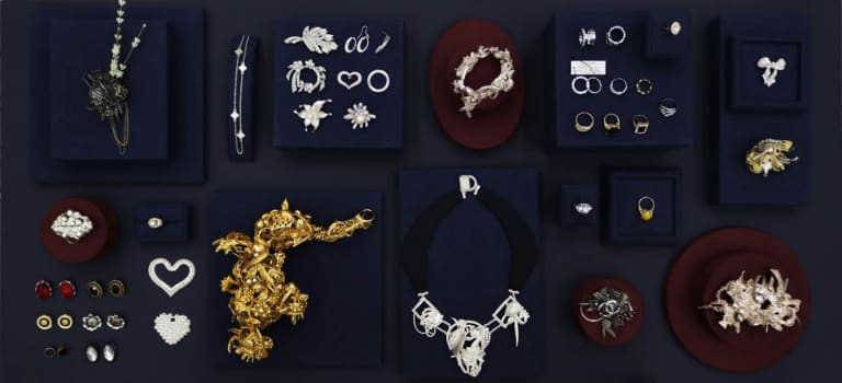 새들은 날기 위해 머리를 없앤다