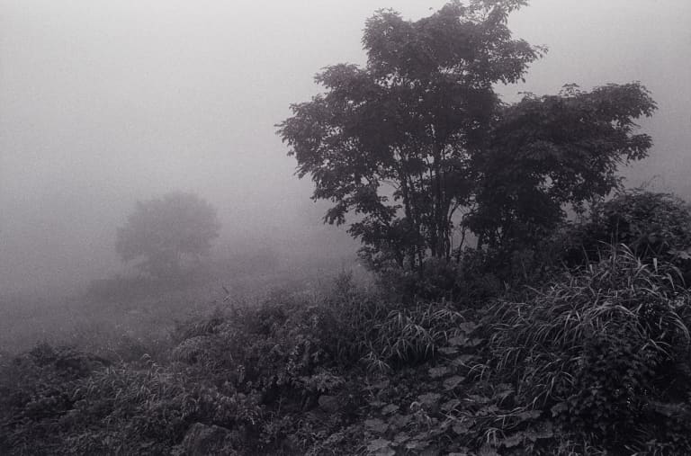 대지의 초상 #073