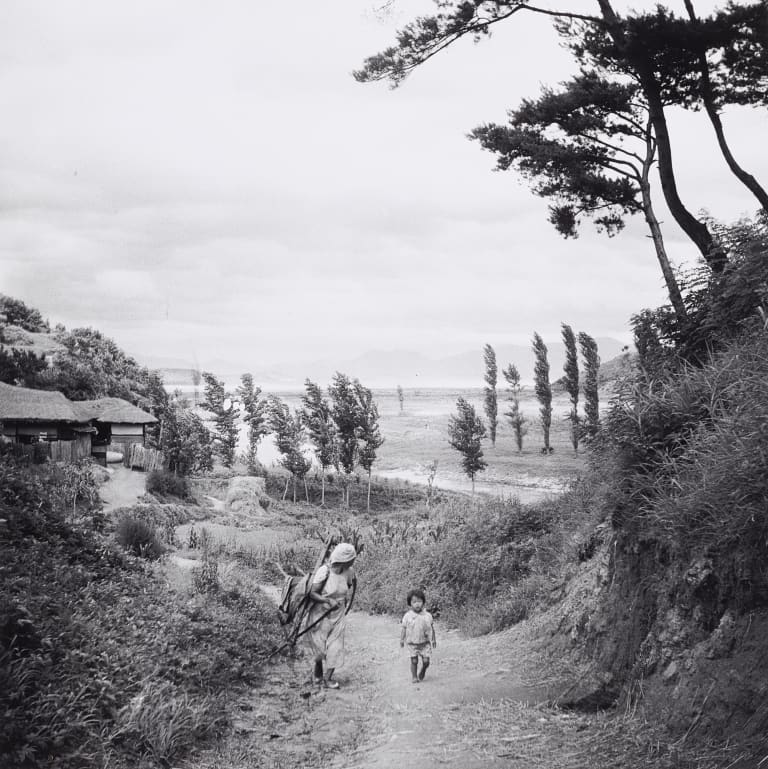 봉은사 가는 길