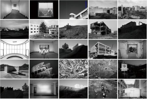 애처로운 애정의 거창한 욕망 시리즈