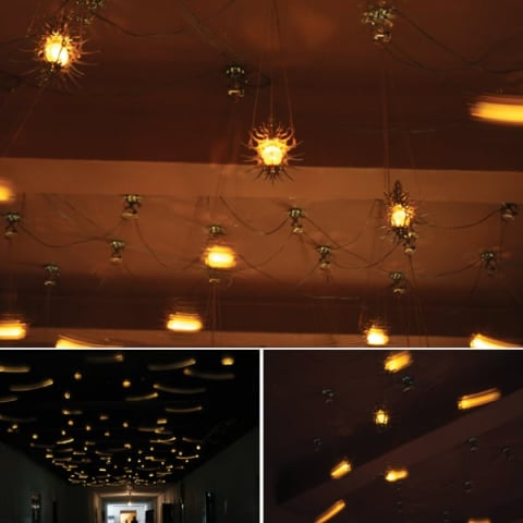 비밀의 추-Occultus Libramentum