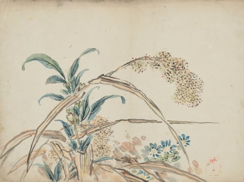 수수