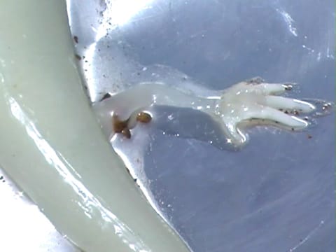 08473 백정기 기우제마하미드(단채널) (스크린샷) 서브  (2).jpg