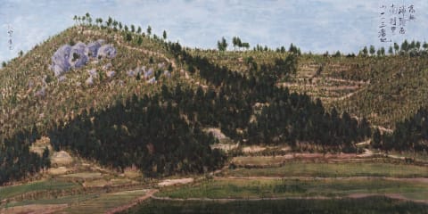 고흥군 포두면 남촌리 산 113번지