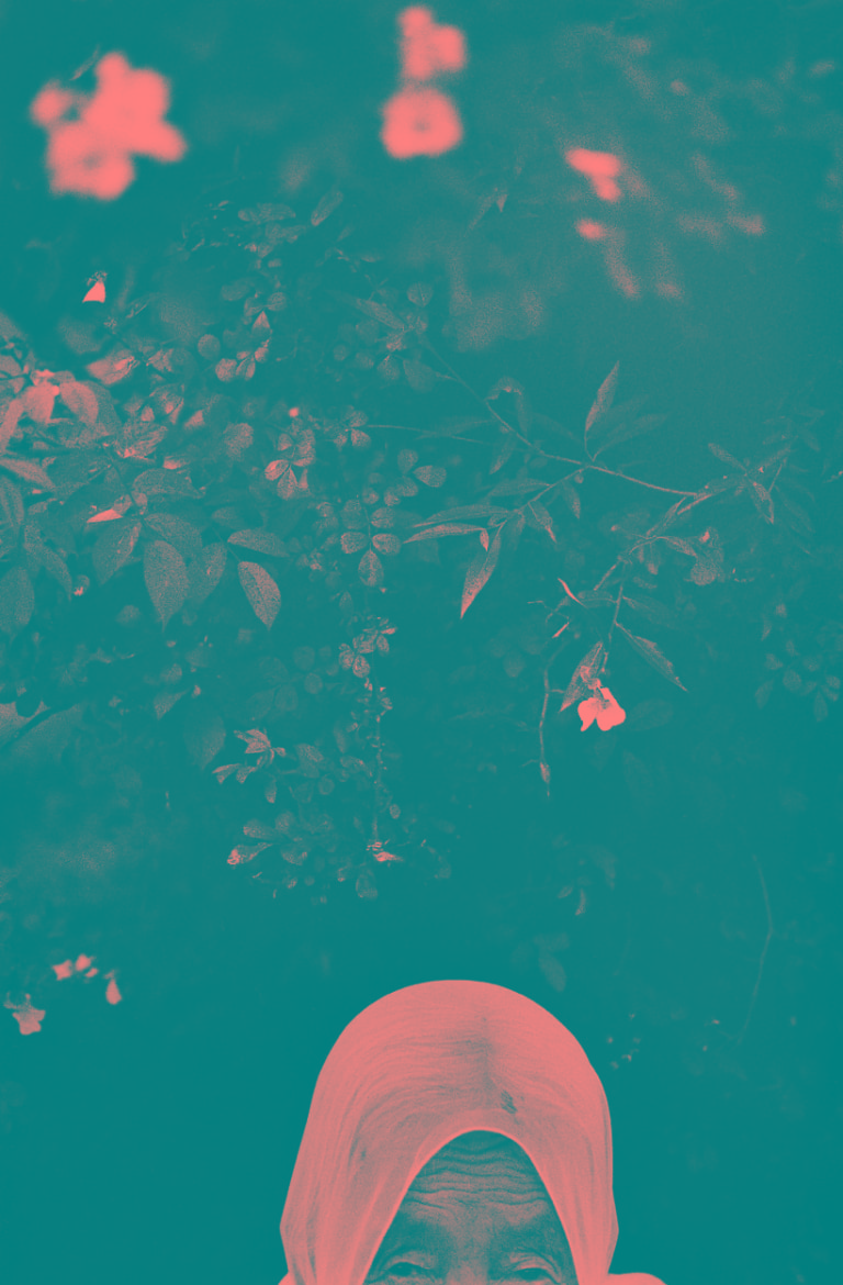 찔레꽃과 할머니, 합천,1994