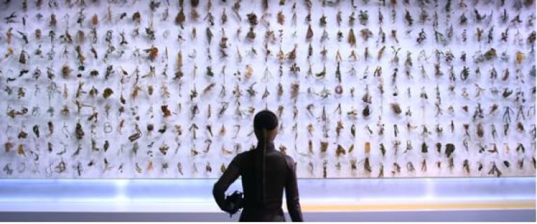 뉴스프럼노웨어