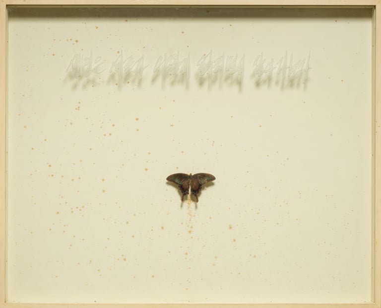 생명은 서로가 어떻게 얽히면서 살아가는가