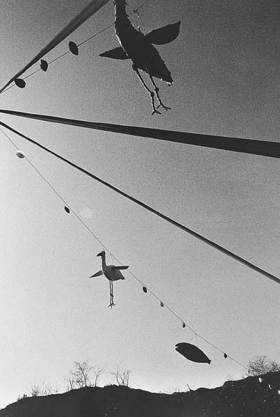 하늘에 걸린 새와 물고기, 태안,1992