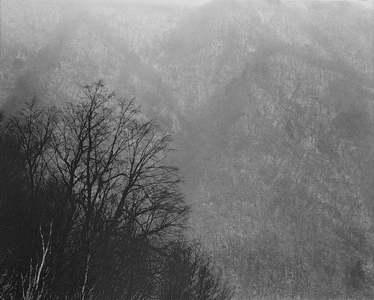 대지의 초상 #056