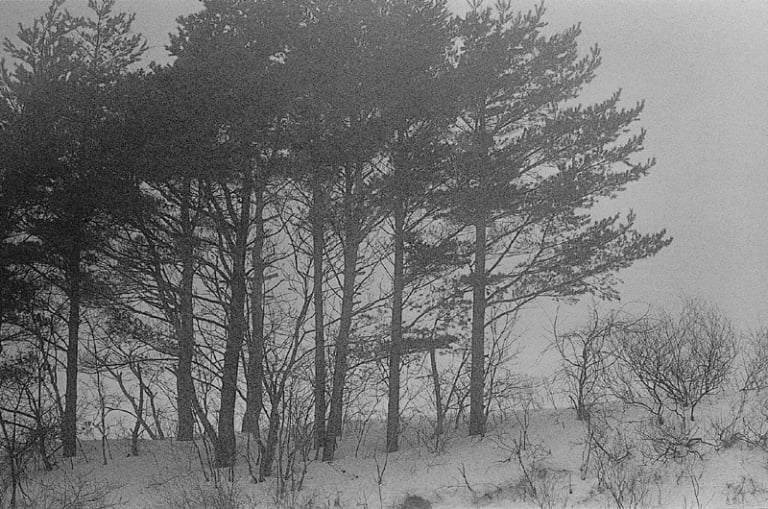 대지의 초상 #080