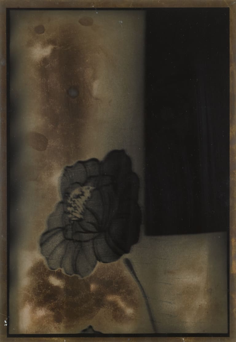 가족-동생의 방