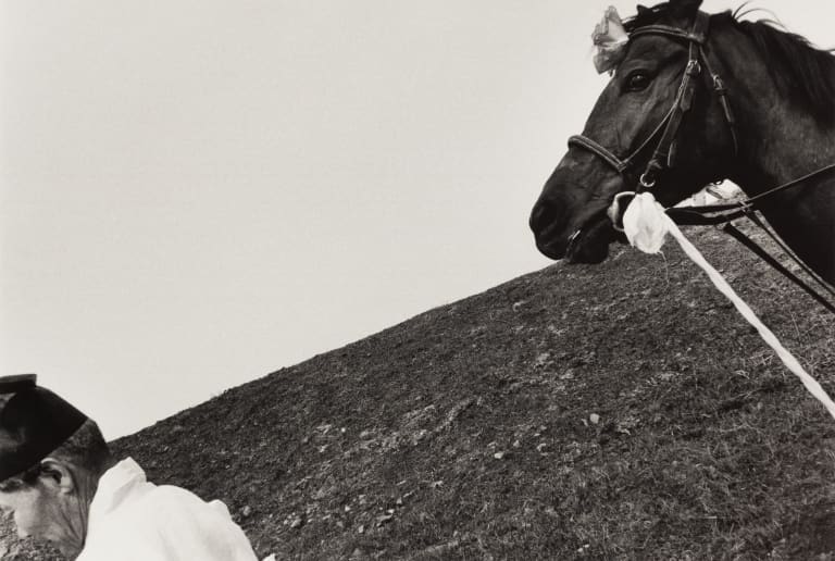 노인과 말, 부여군 은산면,1995