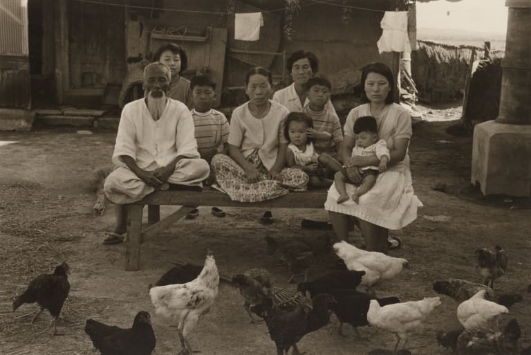 한국의 가족-전북 익산(닭있는 사진)